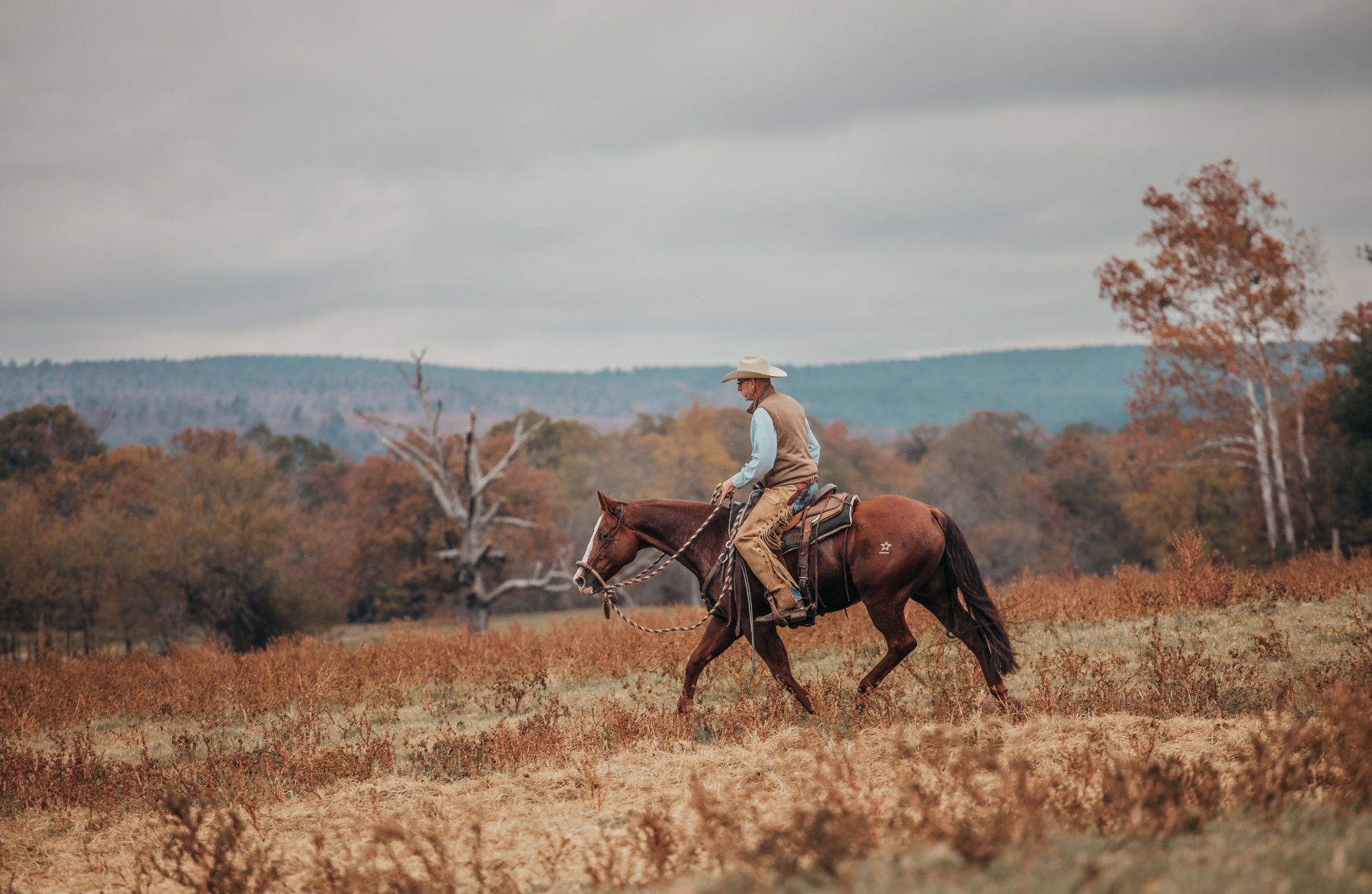 Rancher on horseback