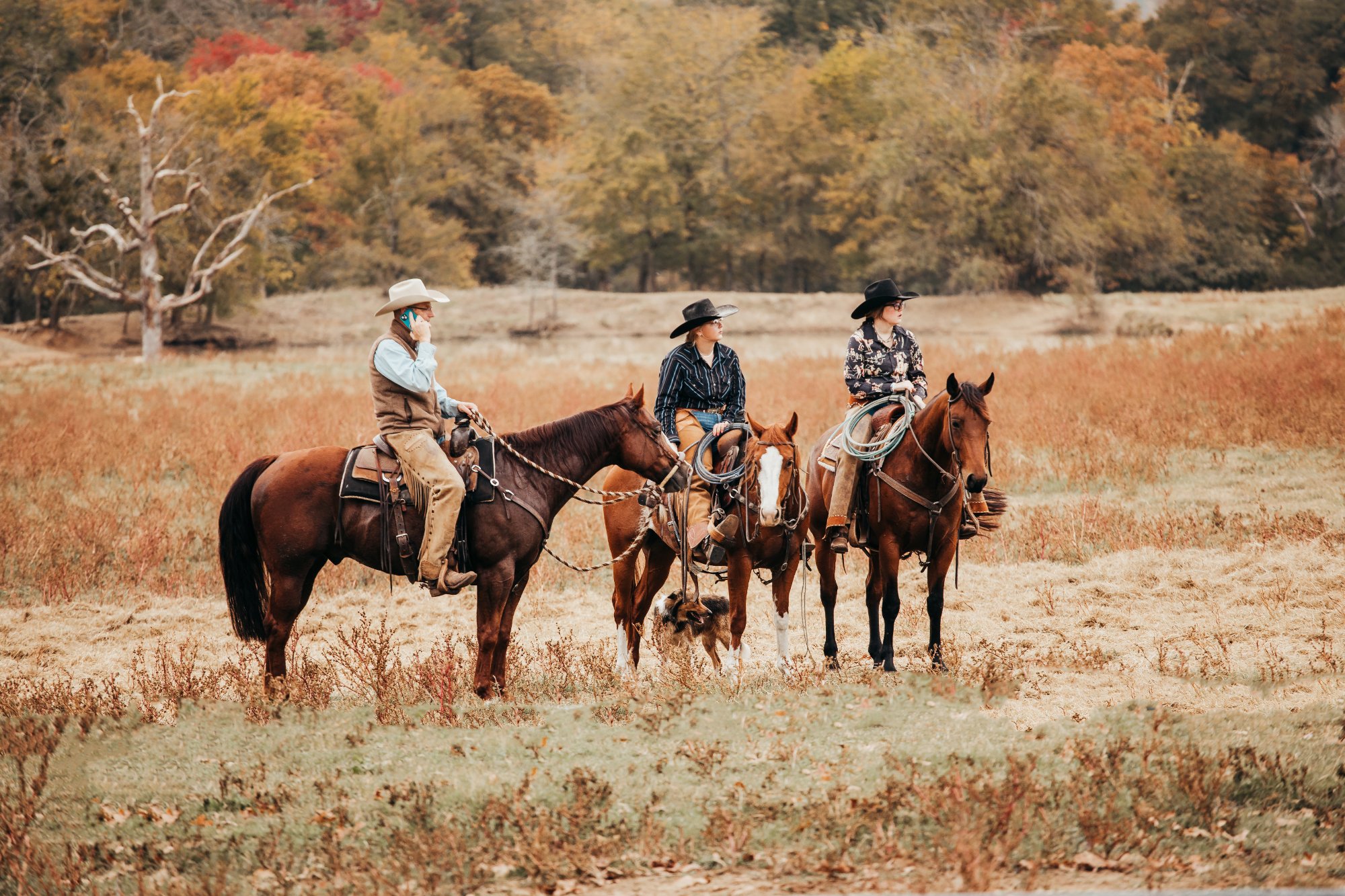 Three generations on horseback